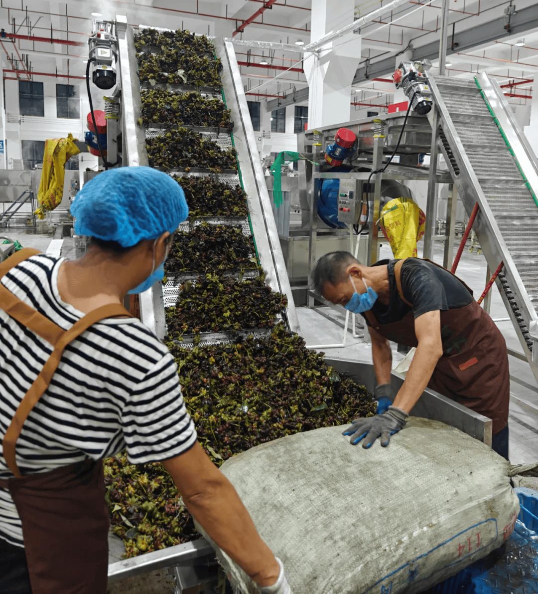上林縣新增初級農產品產地倉，打造現代農業流通新樞紐